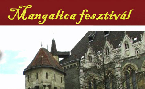 Mangalica fesztivált tartanak Debrecenben